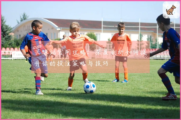 买球站官网攻略：深度剖析如何提升你的投注策略与技巧
