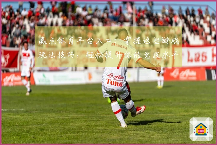 赢点体育平台入口：掌握这些游戏玩法技巧，轻松提升你的竞技水平！