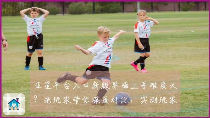 亚星平台入口新版界面上手难度大？老玩家带你深度对比，实测玩家体验告诉你真相