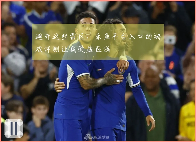 避开这些雷区，乐鱼平台入口的游戏评测让我受益匪浅