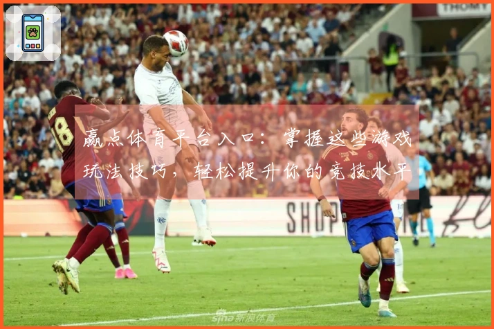 赢点体育平台入口：掌握这些游戏玩法技巧，轻松提升你的竞技水平！